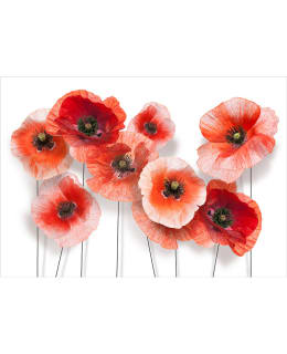 Artgeist A1-4XLNEW011288 FOTOTAPETTI Main Image