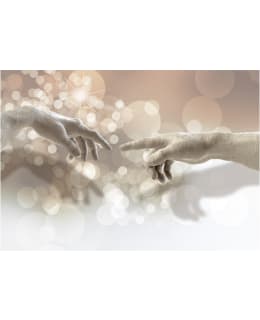 Artgeist A1-LNEW011297 FOTOTAPETTI Main Image