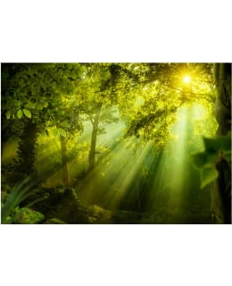 Artgeist A1-MNEW011429 FOTOTAPETTI Main Image