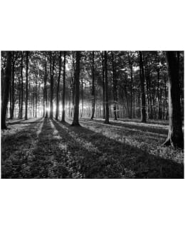 Artgeist A1-XLNEW011457 FOTOTAPETTI Main Image