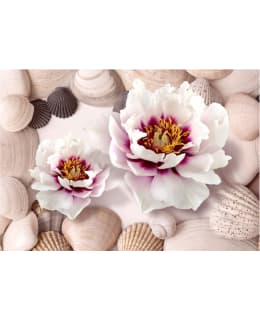 Artgeist A1-XLNEW011486 FOTOTAPETTI Main Image