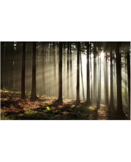 Artgeist A1-F4TNT0492-P FOTOTAPETTI Main Image