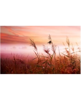 Artgeist A1-F4TNT0458-P FOTOTAPETTI Main Image