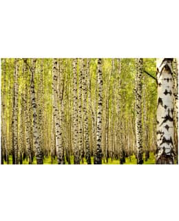 Artgeist A1-F4TNT0452-P FOTOTAPETTI Main Image