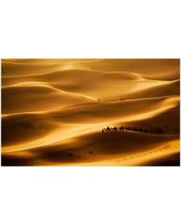 Artgeist A1-F4TNT0500-P FOTOTAPETTI Main Image