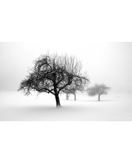 Artgeist A1-F4TNT0448-P FOTOTAPETTI Main Image