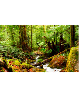 Artgeist A1-F4TNT0499-P FOTOTAPETTI Main Image