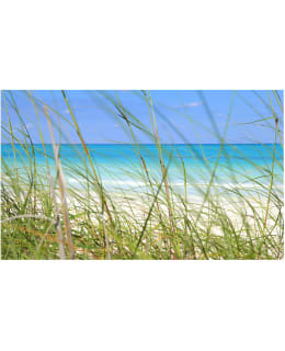 Artgeist A1-F4TNT0507 FOTOTAPETTI Main Image