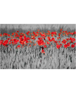 Artgeist A1-F4TNT0480-P FOTOTAPETTI Main Image