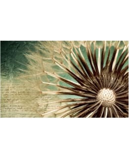 Artgeist A1-F4TNT0516 FOTOTAPETTI Main Image