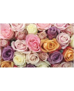 Artgeist A1-F4TNT0518 FOTOTAPETTI Main Image