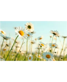 Artgeist A1-F4TNT0479-P FOTOTAPETTI Main Image