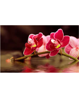 Artgeist A1-F4TNT0464-P FOTOTAPETTI Main Image