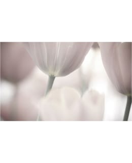 Artgeist A1-F4TNT0462-P FOTOTAPETTI Main Image