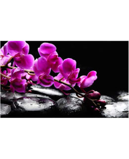 Artgeist A1-F4TNT0461-P FOTOTAPETTI Main Image