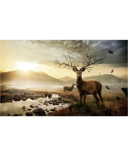 Artgeist A1-F4TNT0411-P FOTOTAPETTI Main Image