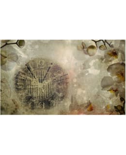 Artgeist A1-F4TNT0081-P FOTOTAPETTI Main Image