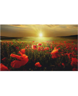 Artgeist A1-F4TNT0016-P FOTOTAPETTI Main Image