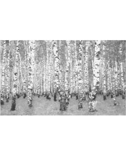 Artgeist A1-F4TNT0009-P FOTOTAPETTI Main Image