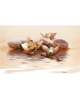 Artgeist A1-F4TNT0167-P FOTOTAPETTI Main Image