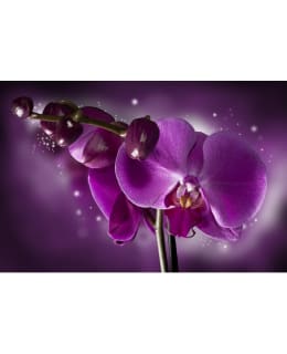 Artgeist A1-F4TNT0078-P FOTOTAPETTI Main Image