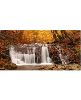 Artgeist A1-F5TNT0008-P FOTOTAPETTI XXL Main Image