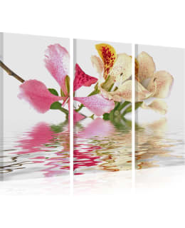 Artgeist A1-N1374 TAULUSETTI Main Image