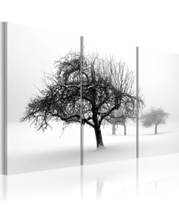 Artgeist A1-N1389 TAULUSETTI Main Image