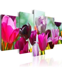 Artgeist A1-N1418 TAULUSETTI Main Image