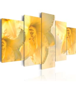 Artgeist A1-N1447 TAULUSETTI Main Image