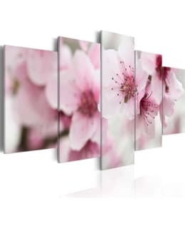 Artgeist A1-N1480-DKX TAULUSETTI Main Image