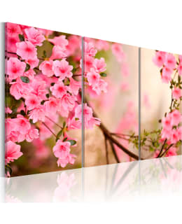 Artgeist A1-N1487-DKX TAULUSETTI Main Image