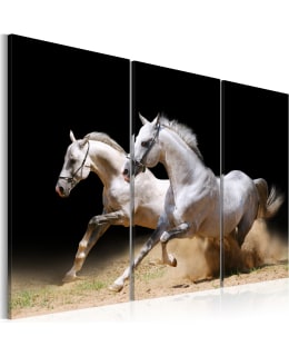 Artgeist A1-N1526 TAULUSETTI Main Image