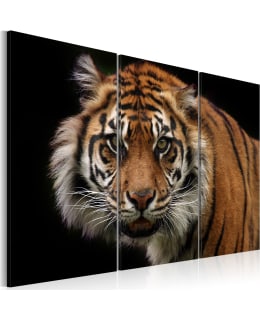 Artgeist A1-N1534-DKX TAULUSETTI Main Image