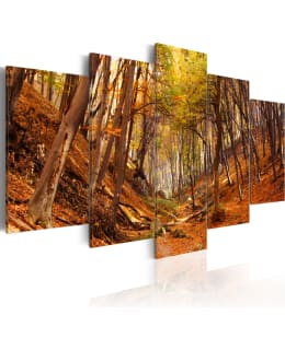 Artgeist A1-N1565 TAULUSETTI Main Image