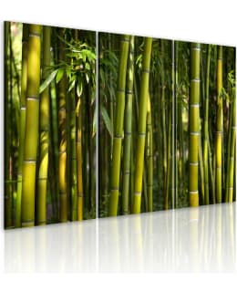 Artgeist A1-N1586 TAULUSETTI Main Image