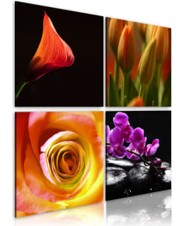 Artgeist A1-N1930 TAULUSETTI Main Image