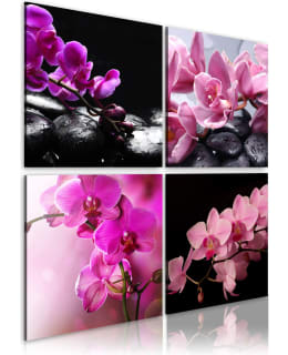 Artgeist A1-N1932-DKX TAULUSETTI Main Image