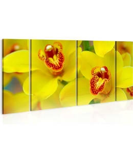 Artgeist A1-N1979-DKX TAULUSETTI Main Image