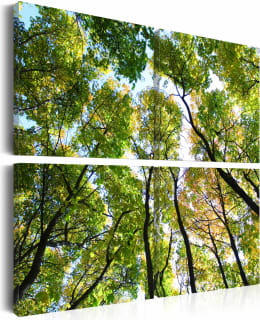 Artgeist A1-N1993 TAULUSETTI Main Image