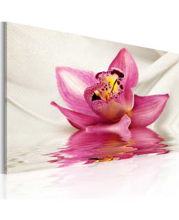 Artgeist A1-N2245 TAULU Main Image