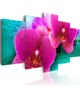 Artgeist A1-N2354 TAULUSETTI Main Image