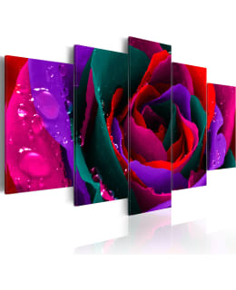 Artgeist A1-N2355-DKX TAULUSETTI Main Image