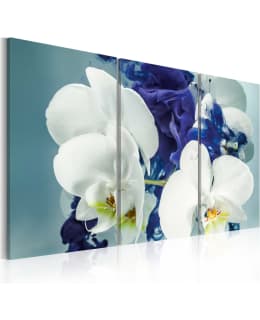 Artgeist A1-N2386-DKX TAULUSETTI Main Image