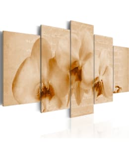 Artgeist A1-N2419 TAULUSETTI Main Image