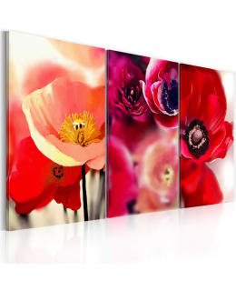 Artgeist A1-N2623-DKX TAULUSETTI Main Image