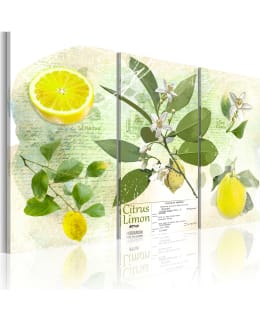 Artgeist A1-N2864-DKX TAULUSETTI Main Image