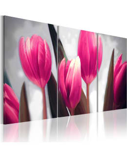 Artgeist A1-N2937-DKX TAULUSETTI Main Image