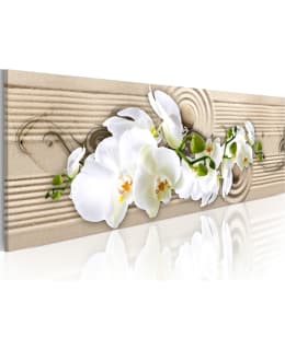 ARTGEIST A1-N3877 TAULU Main Image