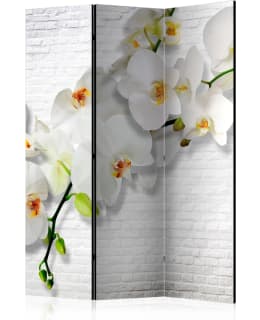 ARTGEIST A1-PARAVENT579 3-OS SERMI Main Image